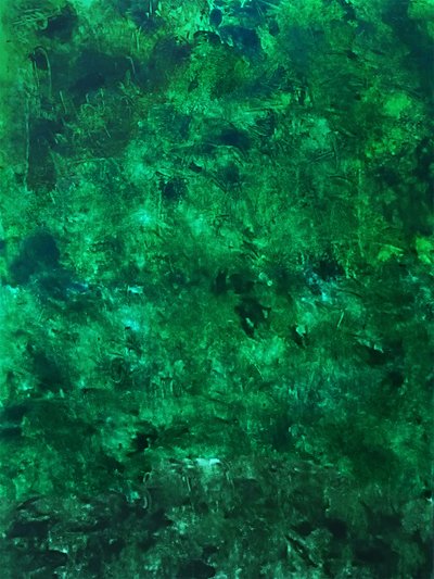 Lush Green Texture by Ron Halfant
