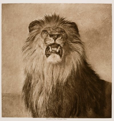 Roaring Lion by Rosa Bonheur