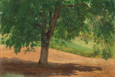 Study of Light and Shade by Rosa Bonheur
