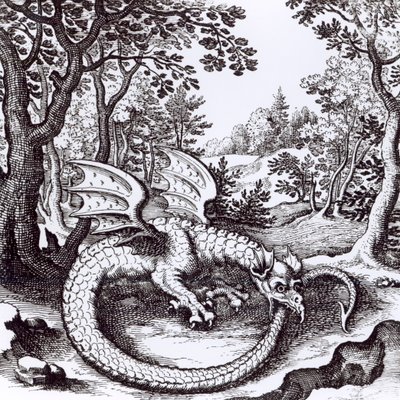 A Dragon in the Forest, from 