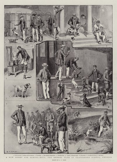 A New Hobby for School-Boys, the Kennel Club at Clayesmore School, Enfield by S.T. Dadd