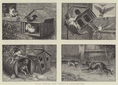 Look Before You Leap, a Catastrophe by S.T. Dadd