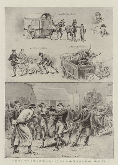 Scenes from the Cattle Show at the Agricultural Hall, Islington by S.T. Dadd