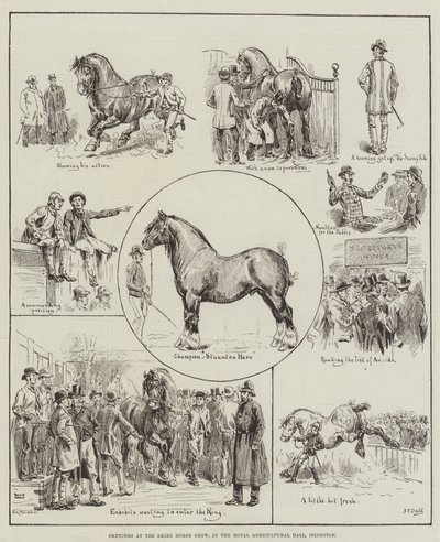 Sketches at the Shire Horse Show, in the Royal Agricultural Hall, Islington by S.T. Dadd