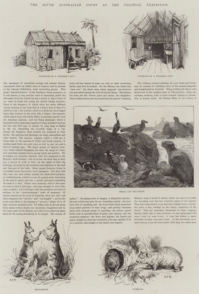 The South Australian Court at the Colonial Exhibition by S.T. Dadd