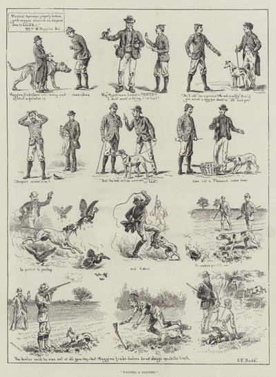 Wanted, a Pointer by S.T. Dadd