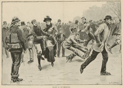 Skating on the Serpentine by S. T. Dadd