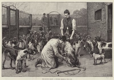 The Hunting Season, a Wounded Member of the Pack (engraving) by S. T. Dadd