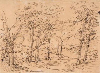 Landscape with Trees and Mountains in the Background by Salvator Rosa