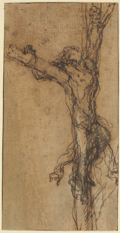 Study for Polycrates