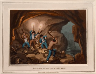 Killing seals in a cavern by Samuel (after) Howitt