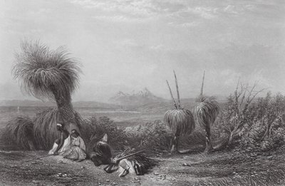 Australia: Grass Tree Plains by Samuel (after) Prout