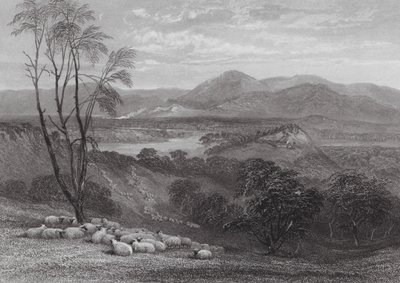 Australia: The Upper Goulburn, Victoria by Samuel (after) Prout