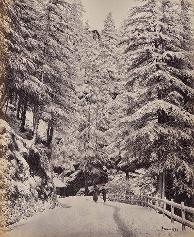 Shimla. View on the Mall in Winter by Samuel Bourne