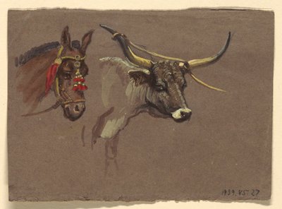 Head of a Mule with a Bridle, Head of a Buffalo or Ox by Samuel Colman
