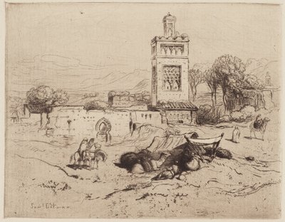 Ruins of a Mosque, Tlemciem, Algeria by Samuel Colman