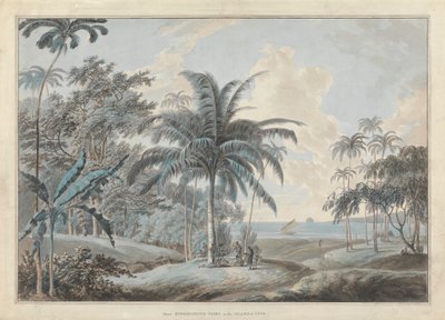 Near Eucheconing Point, Java by Samuel Daniell
