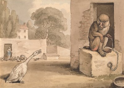 A Goose and a Baboon by Samuel Howitt