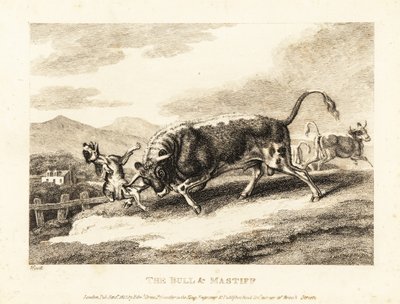 A bull gores a dog to death in a field by Samuel Howitt