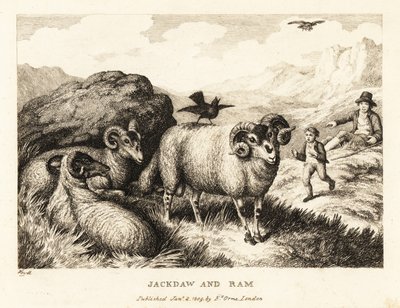 A jackdaw sings on the back of a ram by Samuel Howitt