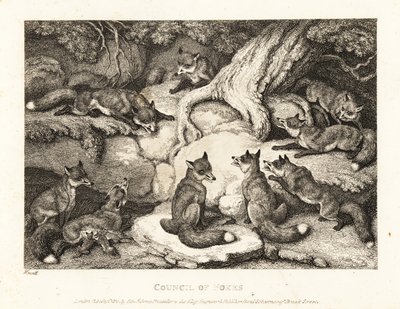A pack of foxes meeting in a forest by Samuel Howitt