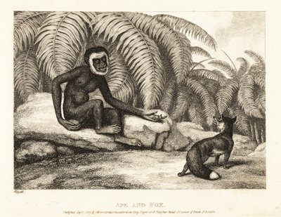 A Tailless Monkey Asks a Fox for Some of His Tail by Samuel Howitt