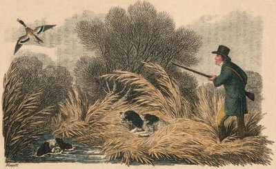 Duck Shooting by Samuel Howitt