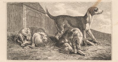 Three Dogs by Samuel Howitt