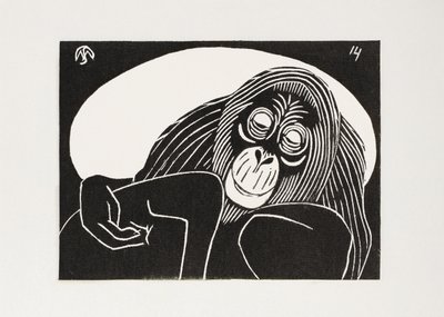 Orangutan by Samuel Jessurun de Mesquita