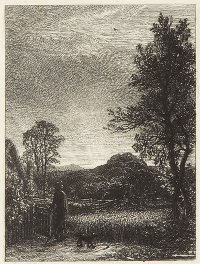 The Skylark by Samuel Palmer