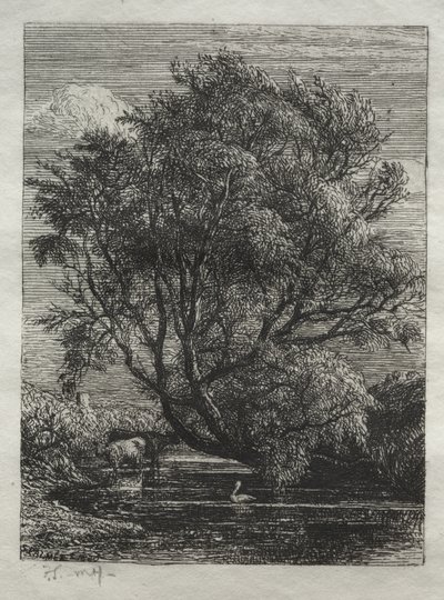 The Willow by Samuel Palmer