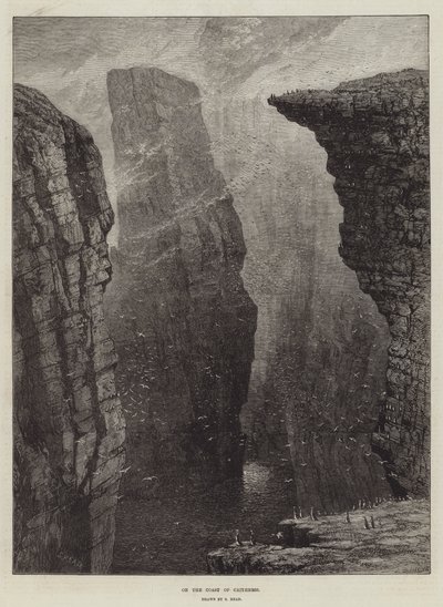 On the Coast of Caithness by Samuel Read
