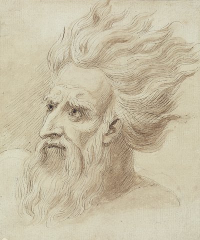 Head of a Man with a Beard and Long Hair in the Wind by Samuel de Wilde