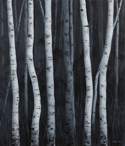 Birches by Sandy Iseli