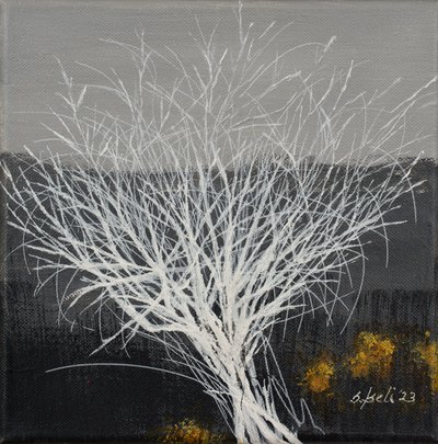 by Sandy Iseli