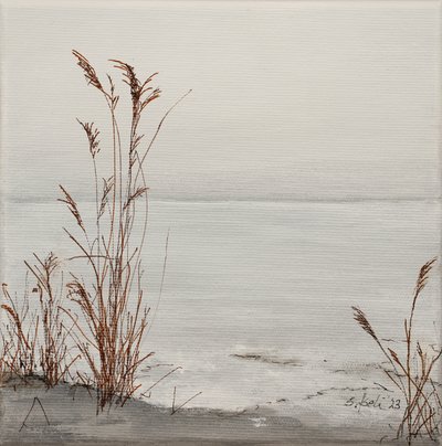  by Sandy Iseli