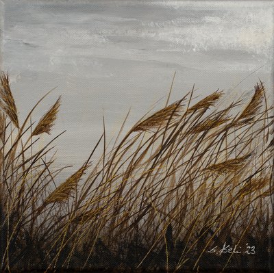  by Sandy Iseli