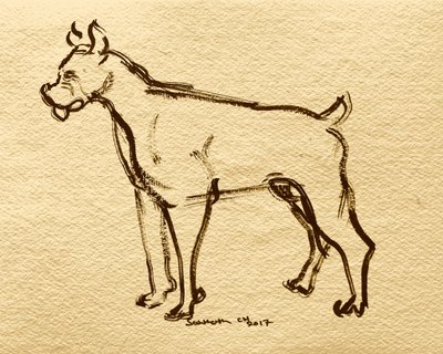 Boxer Dog Sketch by Santhosh ch