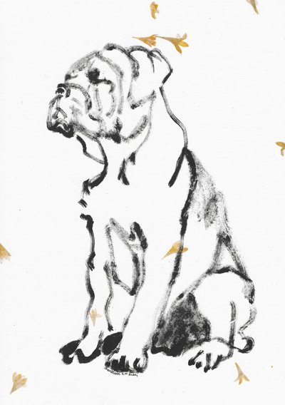 Bulldog Puppy Sketch by Santhosh ch