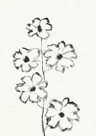 Charcoal Flower Sketch by Santhosh ch