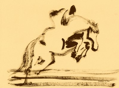 Dynamic Equestrian Jump by Santhosh ch