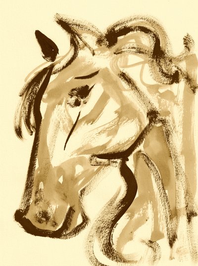 Elegant Horse Profile by Santhosh ch