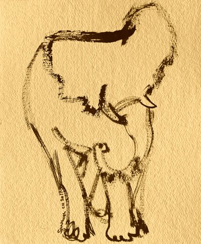 Expressive Elephant Drawing by Santhosh ch