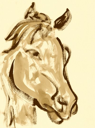 Expressive Horse Head by Santhosh ch