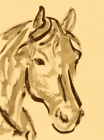 Expressive Horse Portrait by Santhosh ch