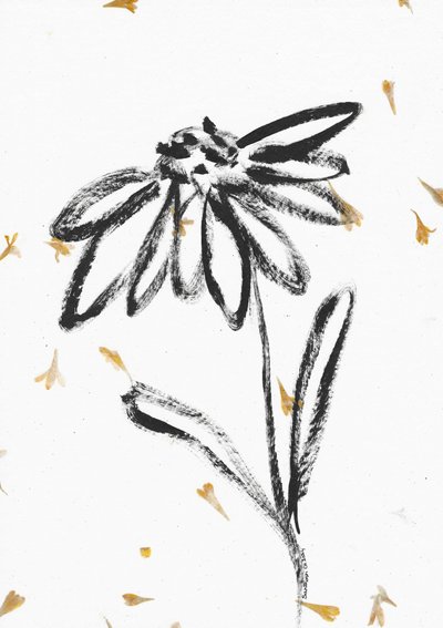 Flower With Falling Petals by Santhosh ch