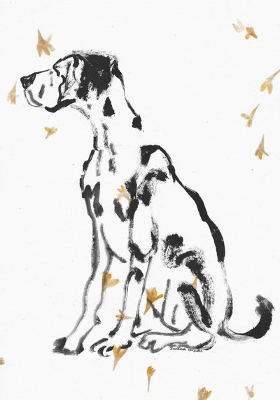 Gentle Great Dane and Flowers by Santhosh ch