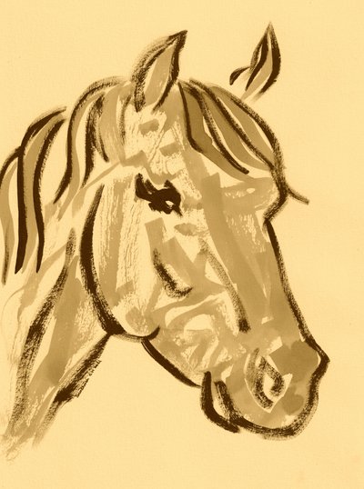 Graceful Horse Sketch by Santhosh ch