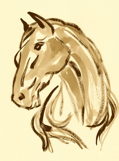 Majestic Horse Portrait by Santhosh ch