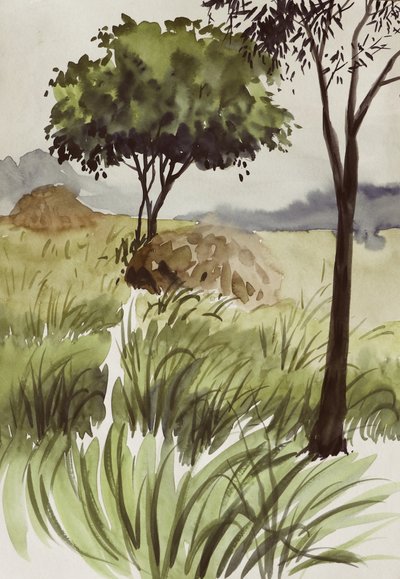Peaceful Green Fields by Santhosh ch